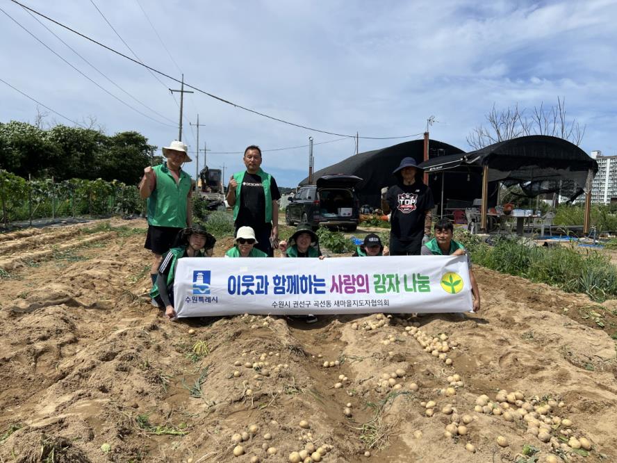 수원시 권선구 곡선동 새마을지도자협의회, 사랑의 감자 수확으로 어려운 이웃에 온정 전달